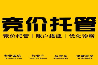 知名SEM竞价代运营公司案例剖析